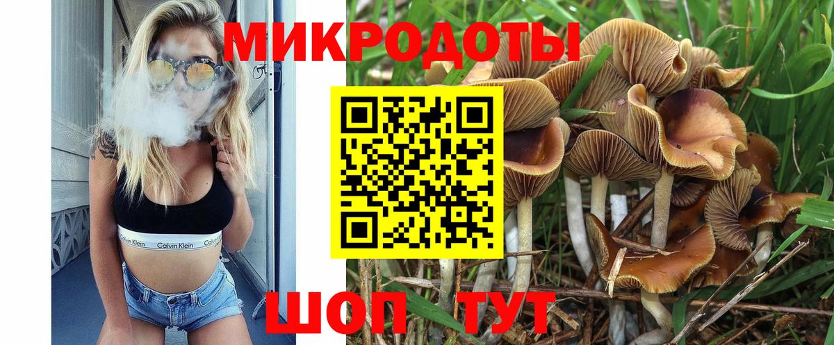 Курганинск  Псилоцибиновые грибы прущие грибы  Вход с VPN 